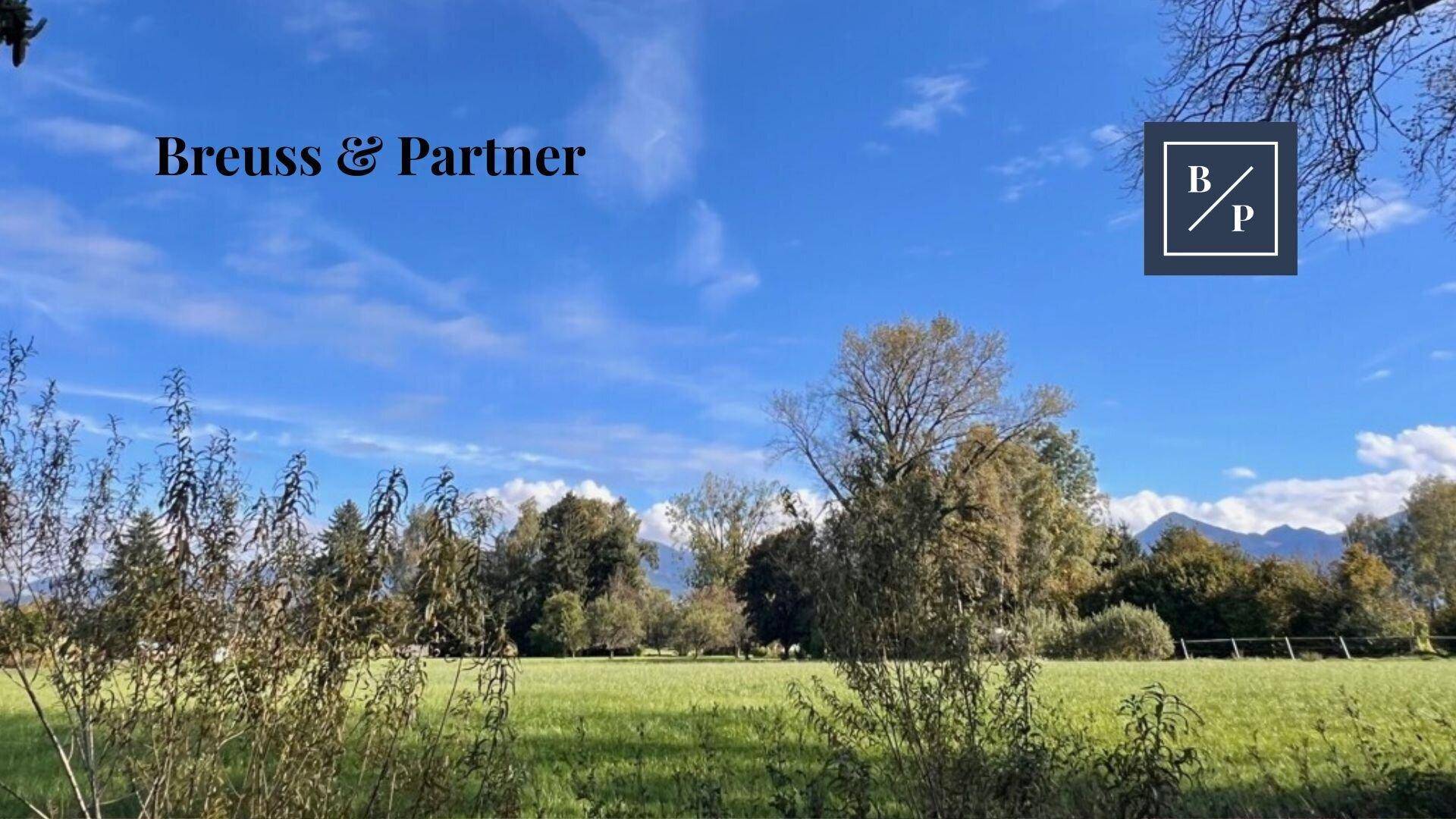 Weitläufige grüne Landschaft mit Bäumen, Wiesen und Bergen im Hintergrund unter blauem Himmel.
