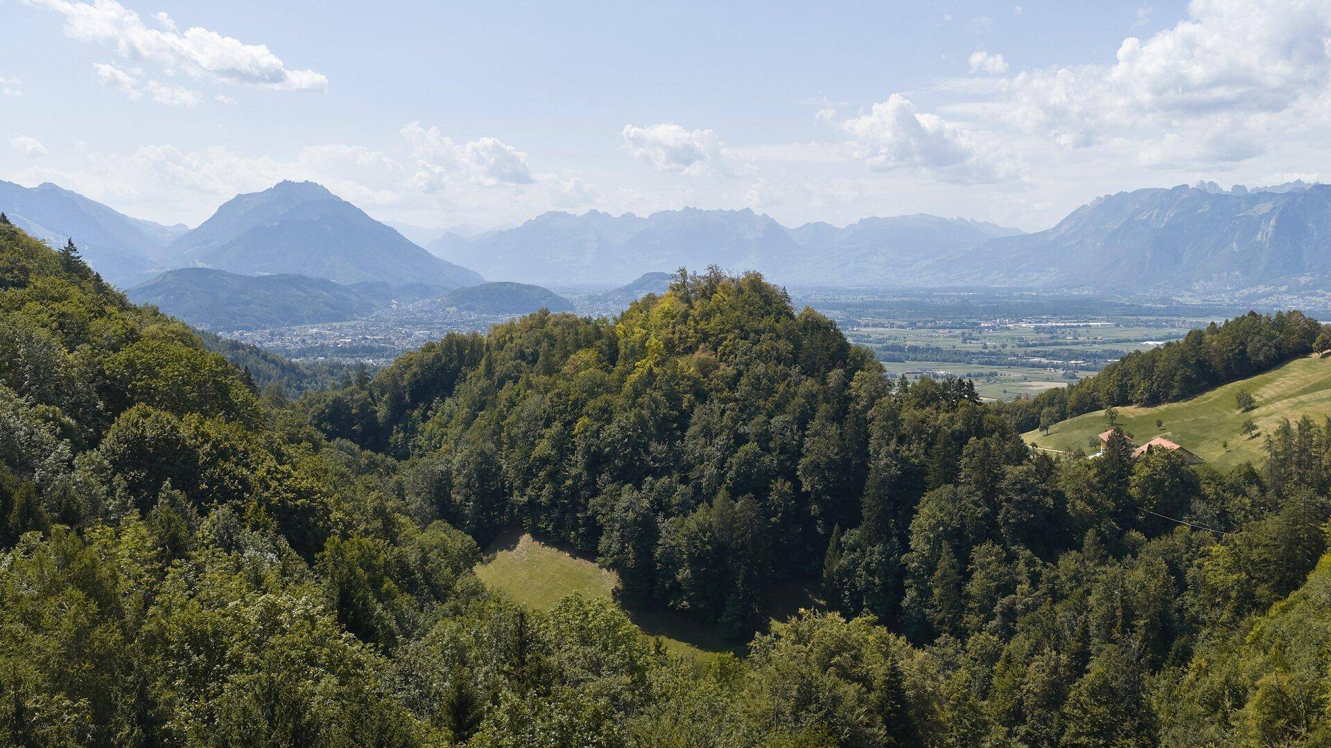 Weitläufiger Panoramablick über bewaldete Hügel und ein Tal mit Bergen im Hintergrund unter blauem Himmel.