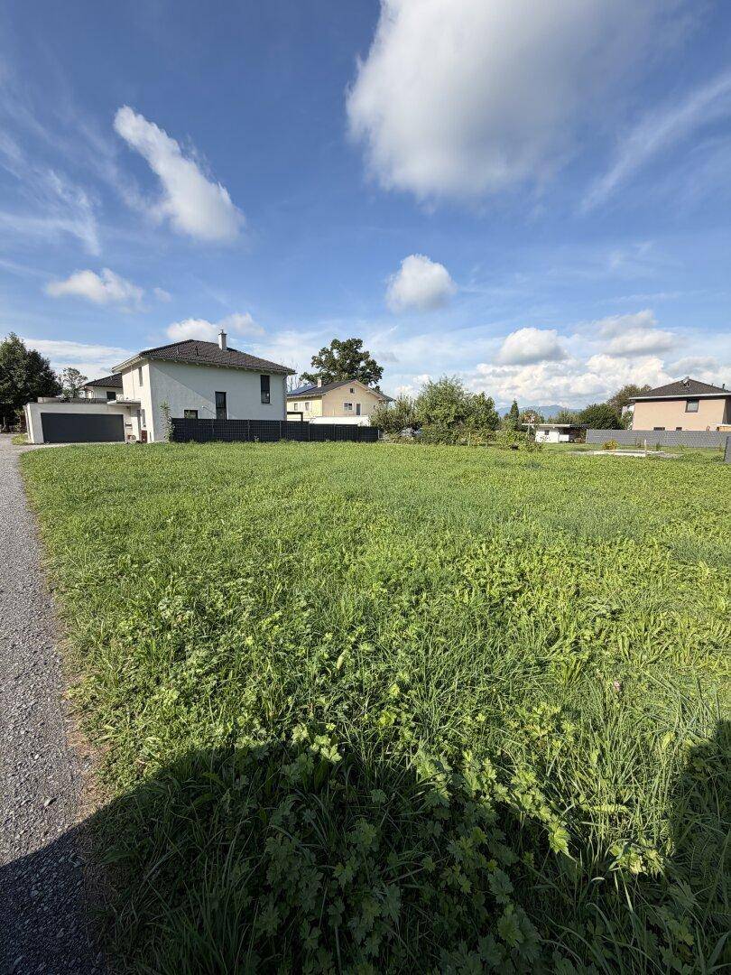Sonniges unbebautes Grundstück mit Grasfläche und angrenzendem Kiesweg in einer Wohngegend.