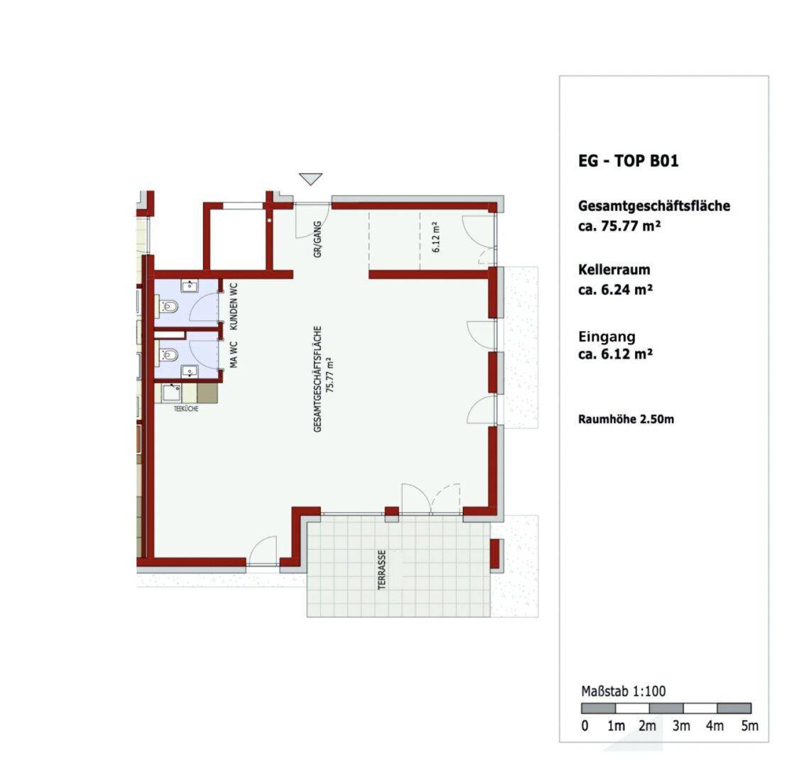 Grundriss einer Geschäftsfläche von 75.77 m² mit Eingang, Kellerraum, zwei WCs und einer Terrasse.
