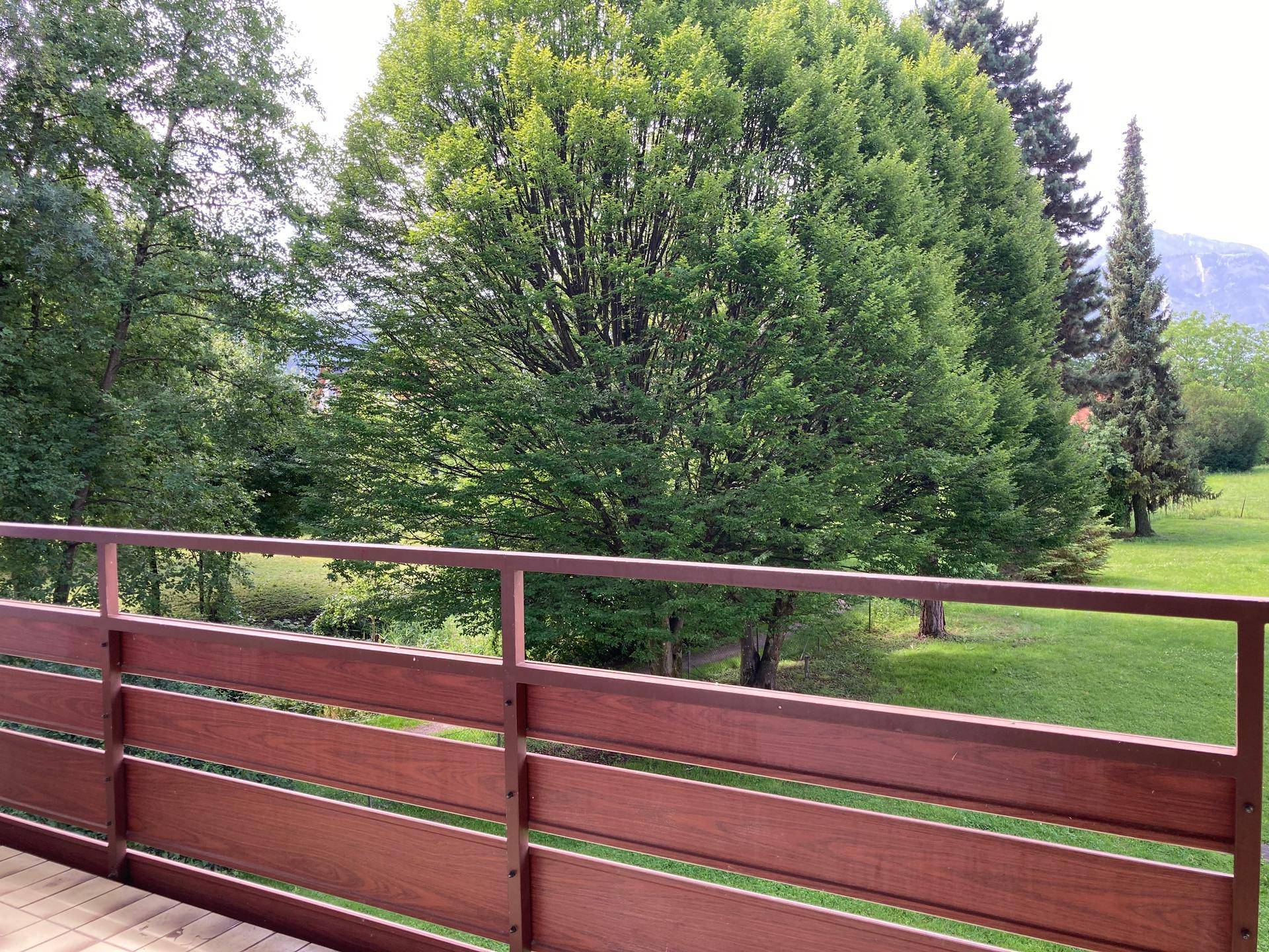Blick vom Balkon ins Grüne mit hohen Bäumen und weitläufiger Landschaft.