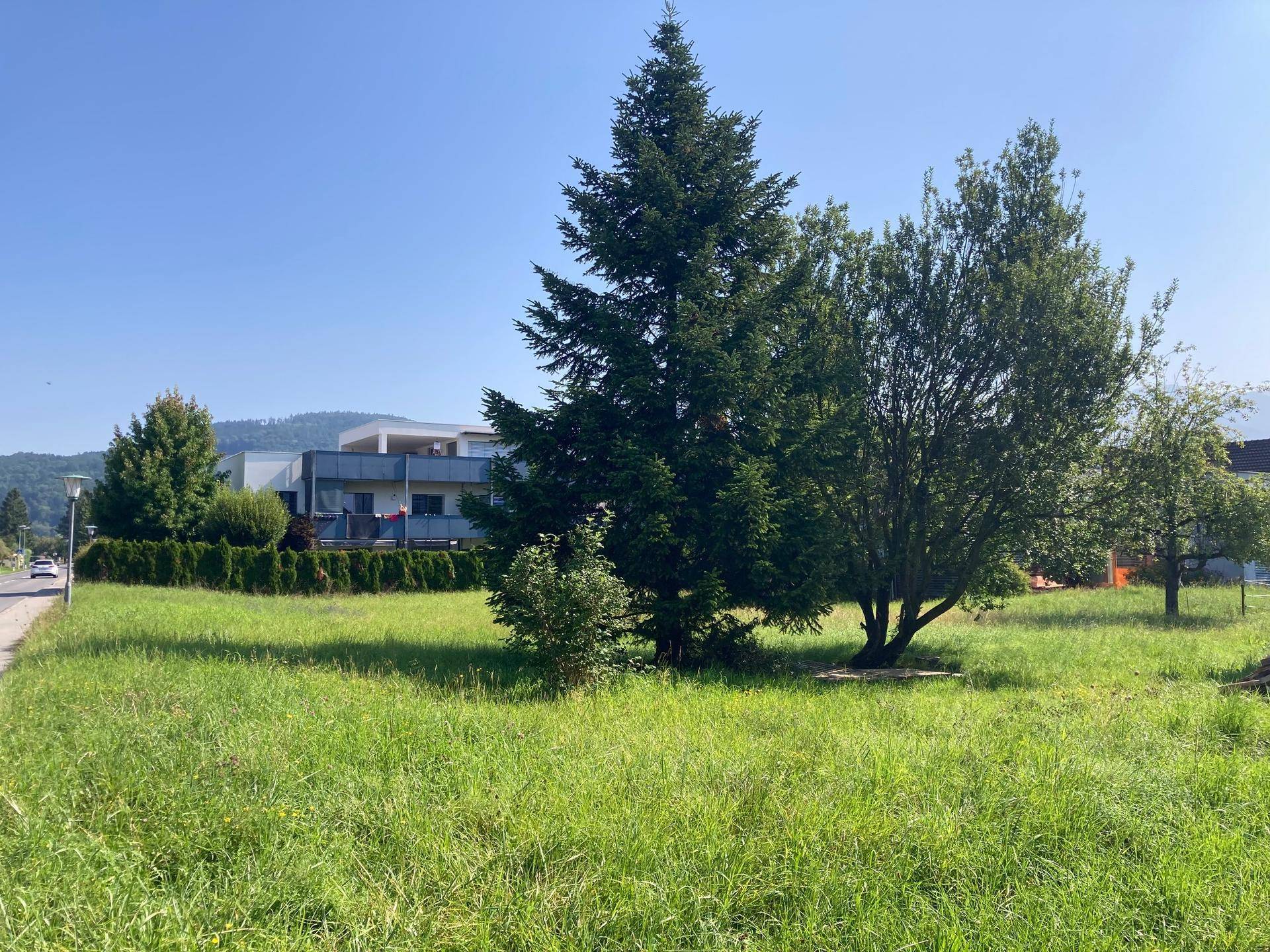 Sonnige Grünfläche mit Bäumen und einer Hecke, im Hintergrund moderne Gebäude mit Balkonen sichtbar.
