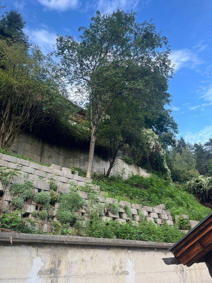 Slide 13