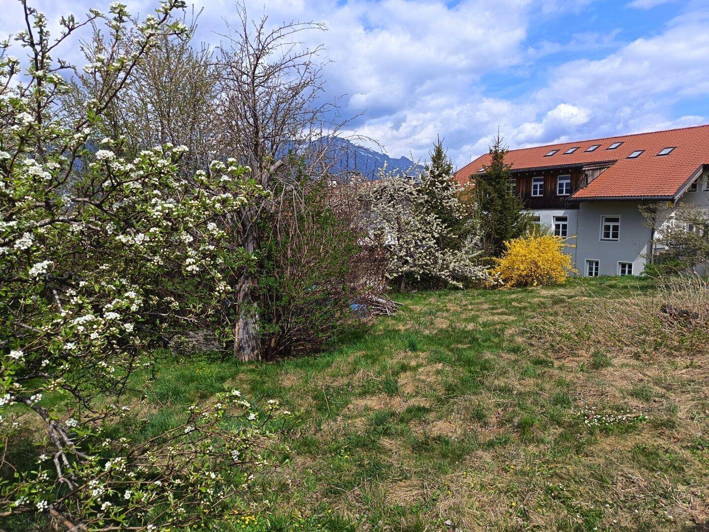 Große Chance!! Zweifamilienhaus ideal auch für Praxis, in Rinn, mit 1800 qm großen Grundstück!! - Mynd 5