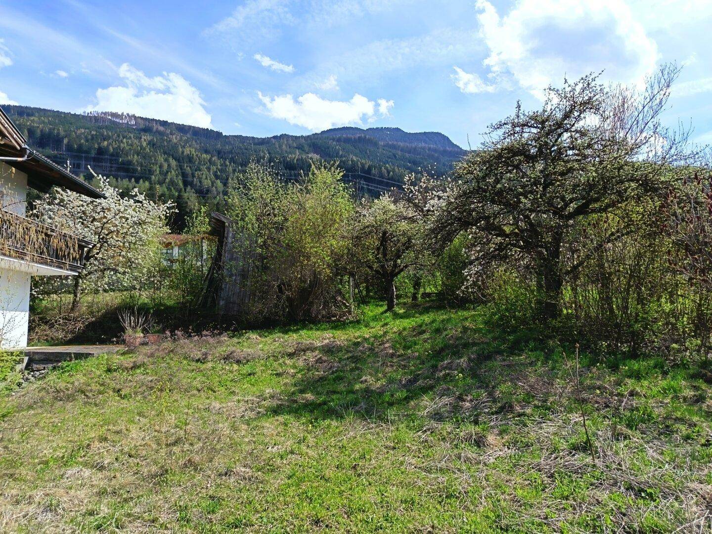 Große Chance!! Zweifamilienhaus ideal auch für Praxis, in Rinn, mit 1800 qm großen Grundstück!! - Mynd 4