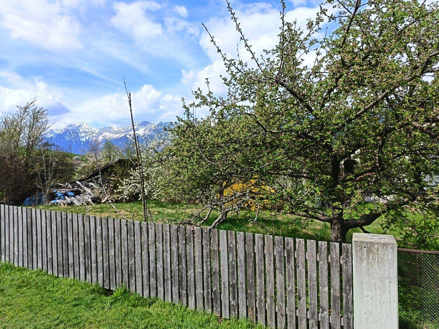 Blick über einen Holzzaun auf eine grüne Wiese mit blühenden Bäumen und schneebedeckten Bergen.