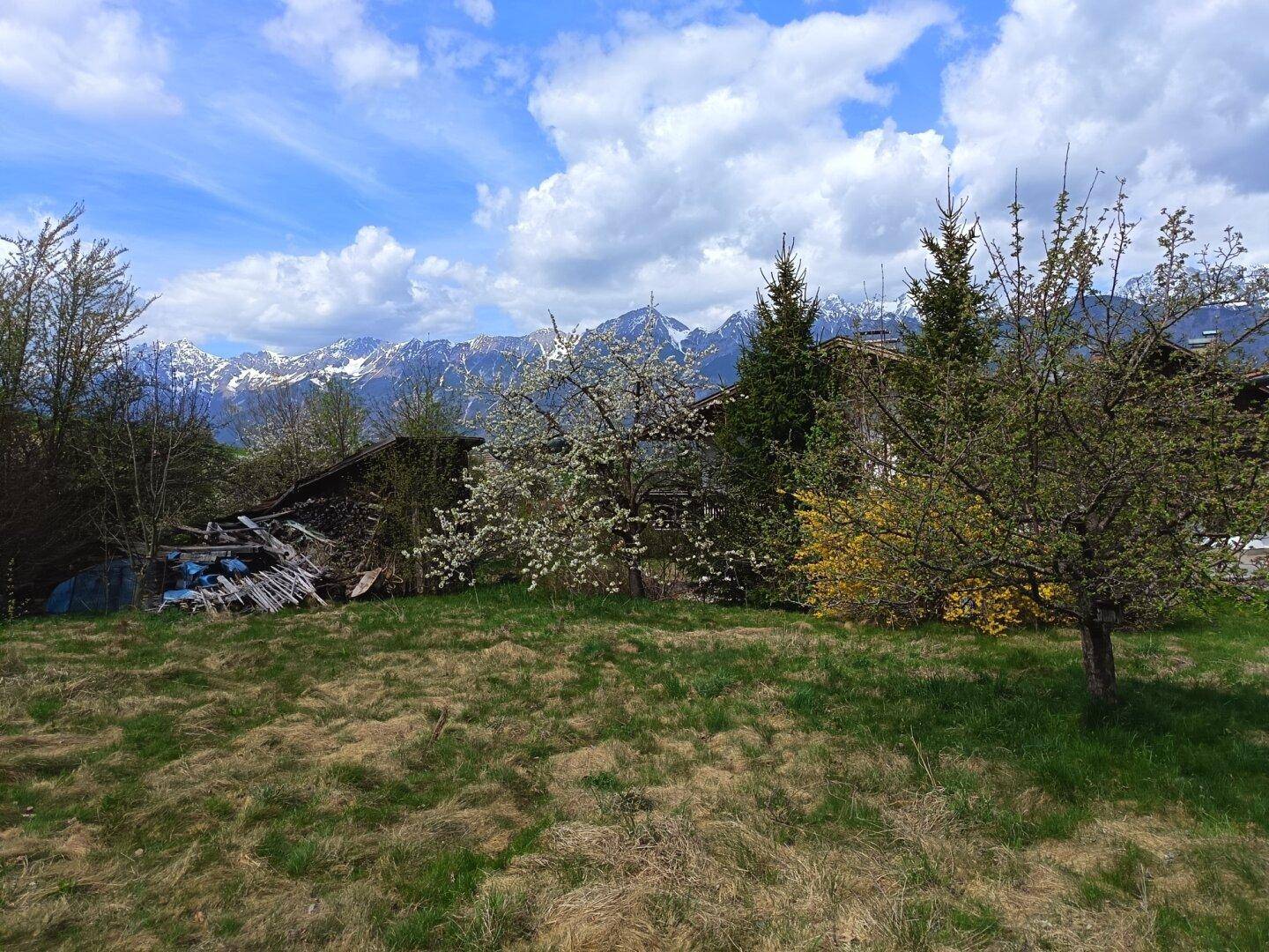 Weitläufige Grünfläche mit blühenden Bäumen, einem alten Schuppen und majestätischen Bergen im Hintergrund.