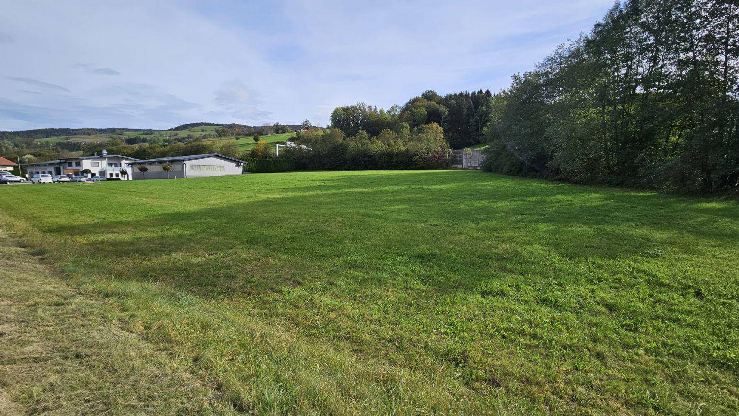 Ausgedehntes grünes Feld mit Blick auf die bewaldeten Hügel und vereinzelte Gebäude am Horizont.