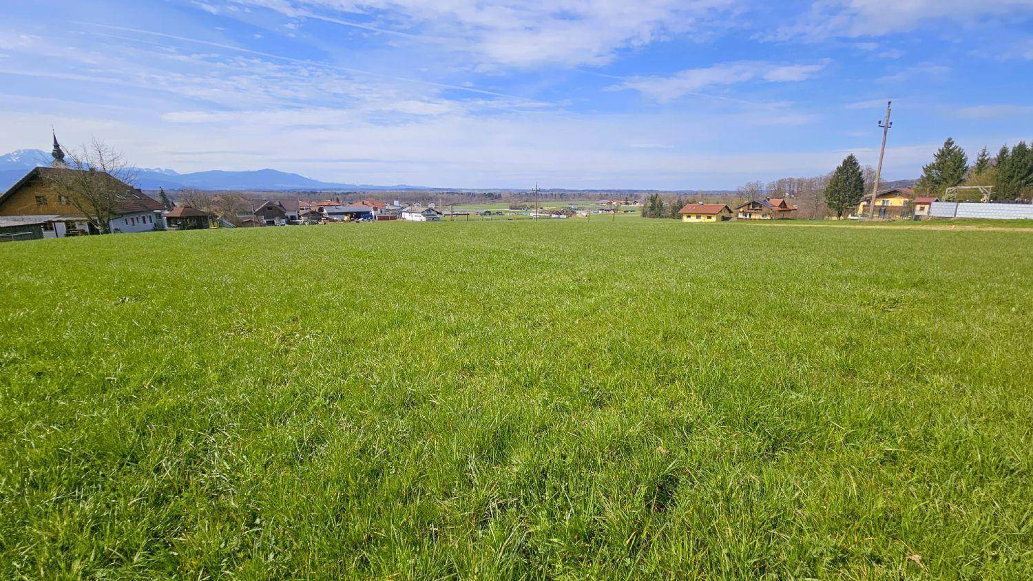 Ausgedehnte grüne Wiesenfläche mit vereinzelten Häusern und einer Bergkulisse am Horizont unter weitem Himmel.