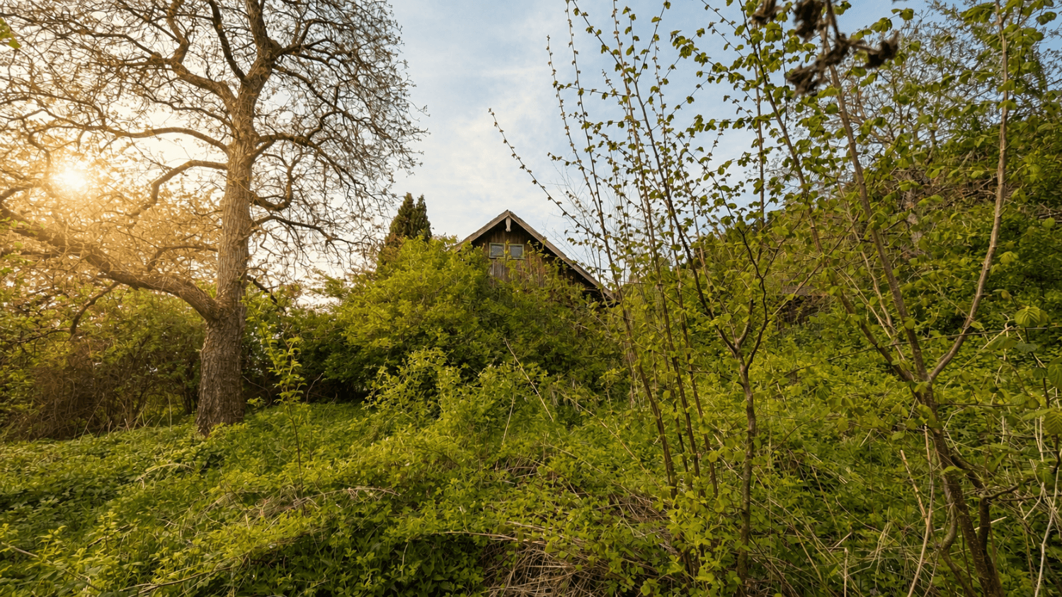 Einzigartiges Grundstück mit Panoramablick in Ruhelage - Ansicht 2