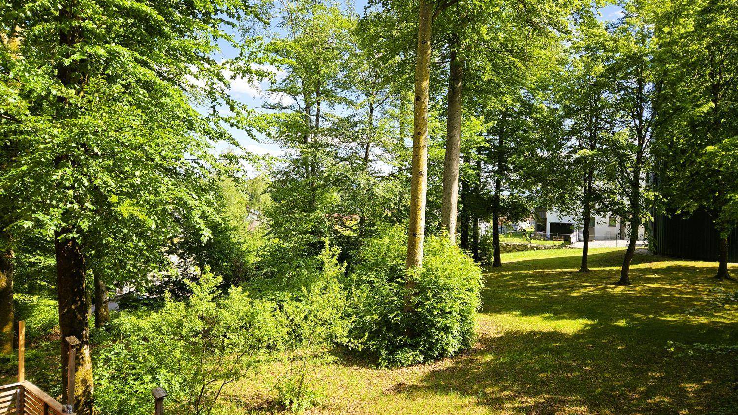 Großer, gepflegter Garten mit altem Baumbestand und weitläufiger Rasenfläche.