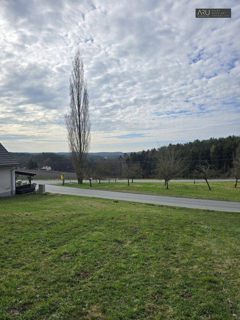Weitläufige ländliche Landschaft mit grünen Wiesen, einem Feldweg und einem hohen Baum.