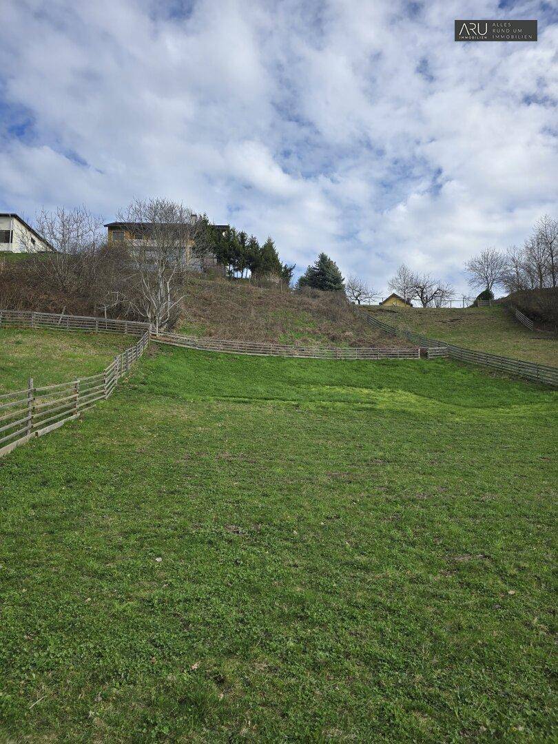 Grüne Hügellandschaft mit Holzzäunen und Häusern auf dem Hügel unter bewölktem Himmel.