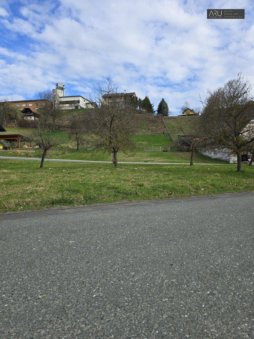 Ländliche Umgebung mit grünen Wiesen, einer Straße und Häusern auf einem Hügel im Hintergrund.