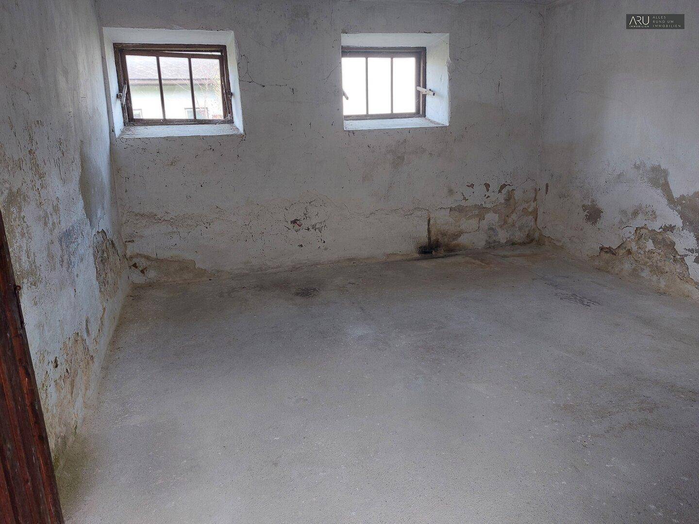 Unausgebauter Kellerraum mit zwei kleinen Fenstern, Betonboden und sichtbaren Wänden.