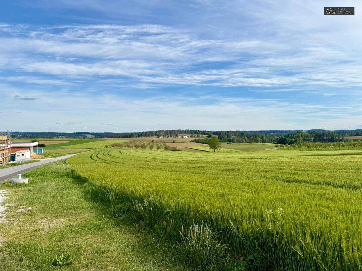 *Traumhaftes Baugrundstück in der Nähe von Hartberg** - Ansicht 3