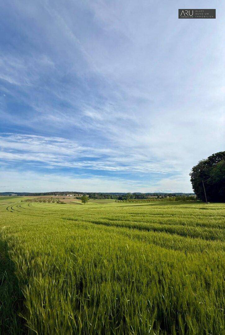 *Traumhaftes Baugrundstück in der Nähe von Hartberg** - Ansicht 4