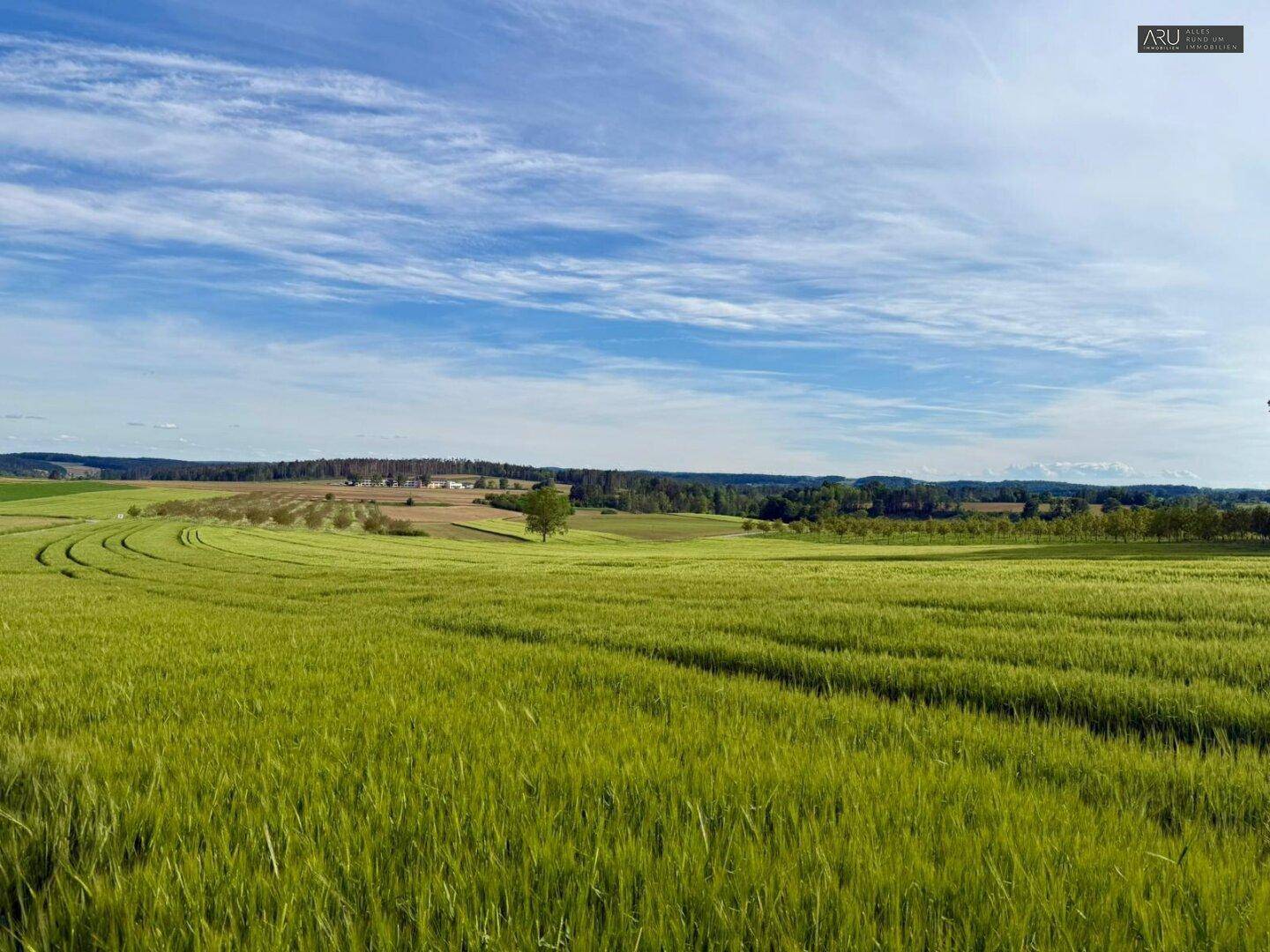 *Traumhaftes Baugrundstück in der Nähe von Hartberg** - Ansicht 6