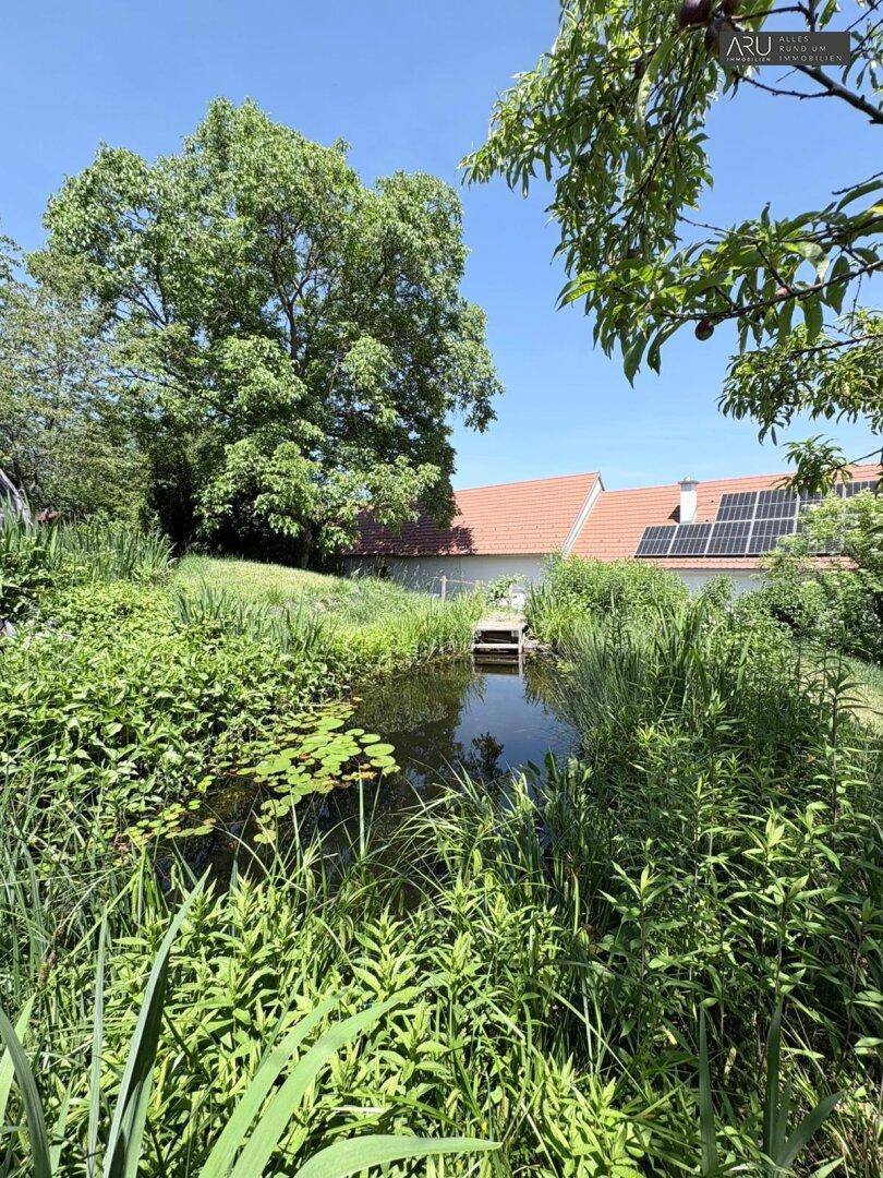 Natürlicher Gartenteich umgeben von üppigem Grün mit Blick auf das Haus und Solarpaneele.