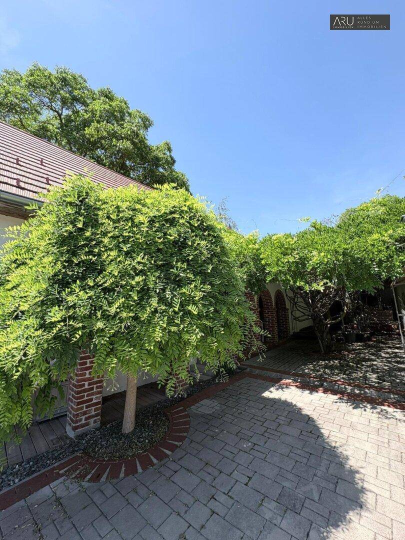 Gepflasterter Innenhof mit Ziegelbögen und einem dekorativen Baum.