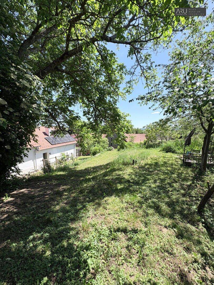 Großer Gartenbereich mit altem Baumbestand und Blick auf das Wohnhaus mit Solaranlage.