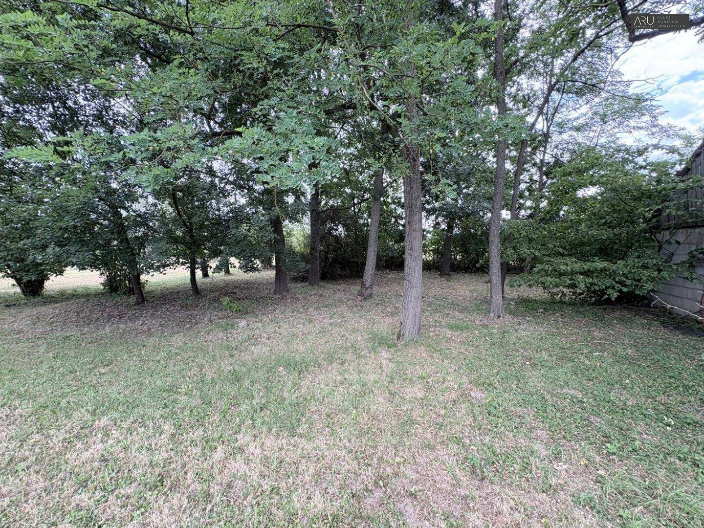 Naturbelassener Gartenbereich mit Rasen und einer Gruppe von Bäumen.