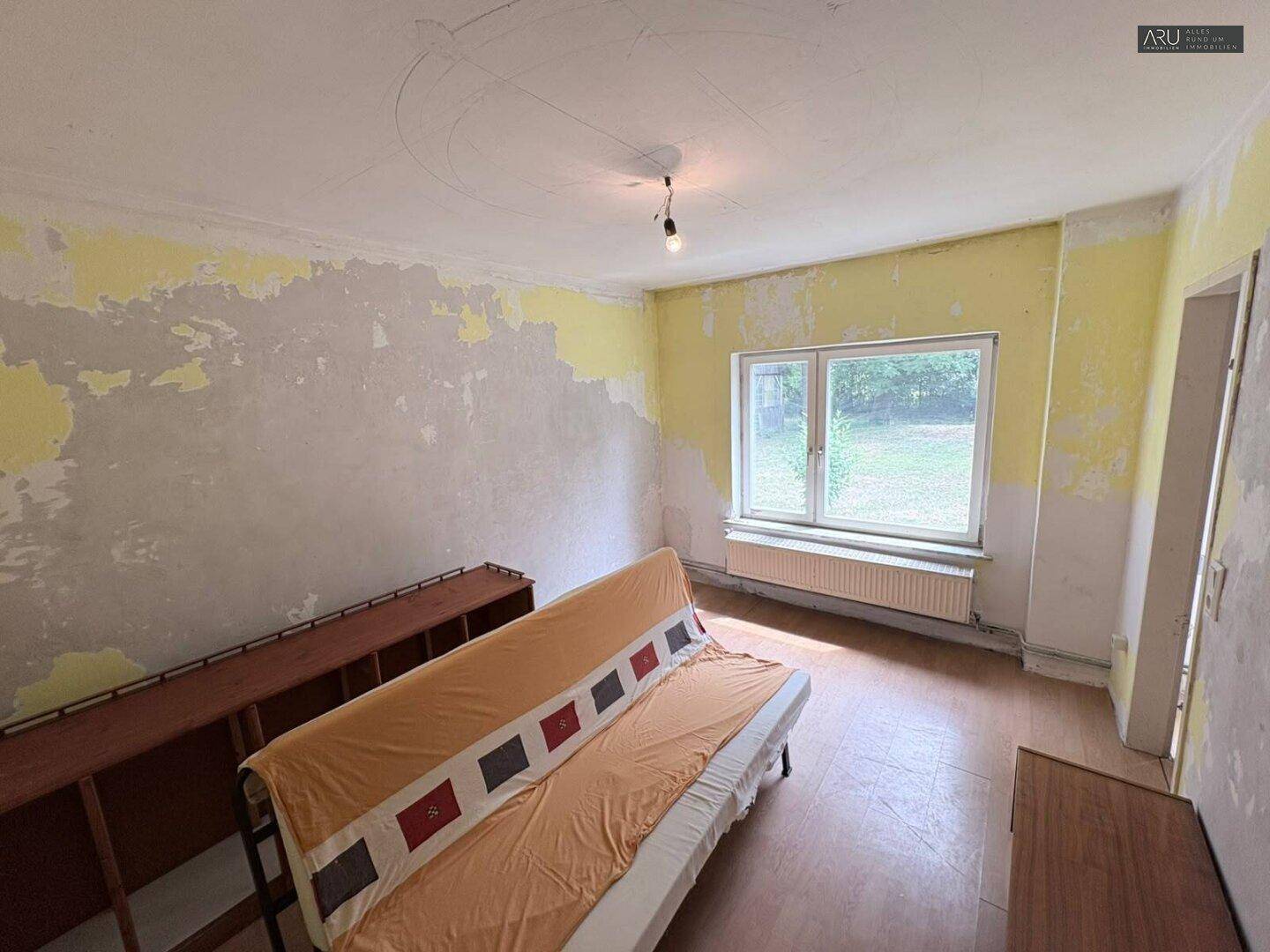 Wohnraum mit renovierungsbedürftigen Wänden, Laminatboden und einem Schlafsofa.