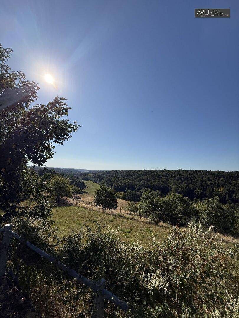 Weitläufiger Blick über die hügelige, grüne Landschaft unter strahlend blauem Himmel.