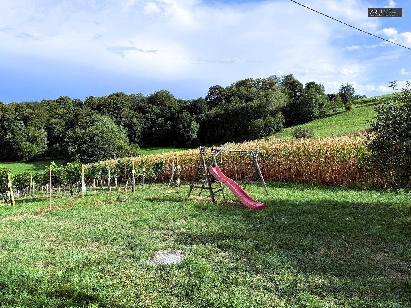Grüner Gartenbereich mit Rutsche und Schaukel, angrenzend an Weinberge und Maisfelder.
