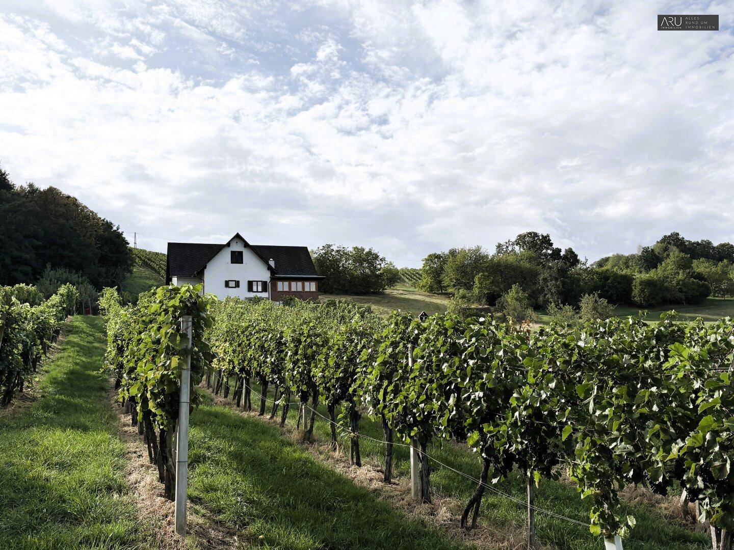 Haus in ländlicher Umgebung, umgeben von weitläufigen Weinbergen unter bewölktem Himmel.