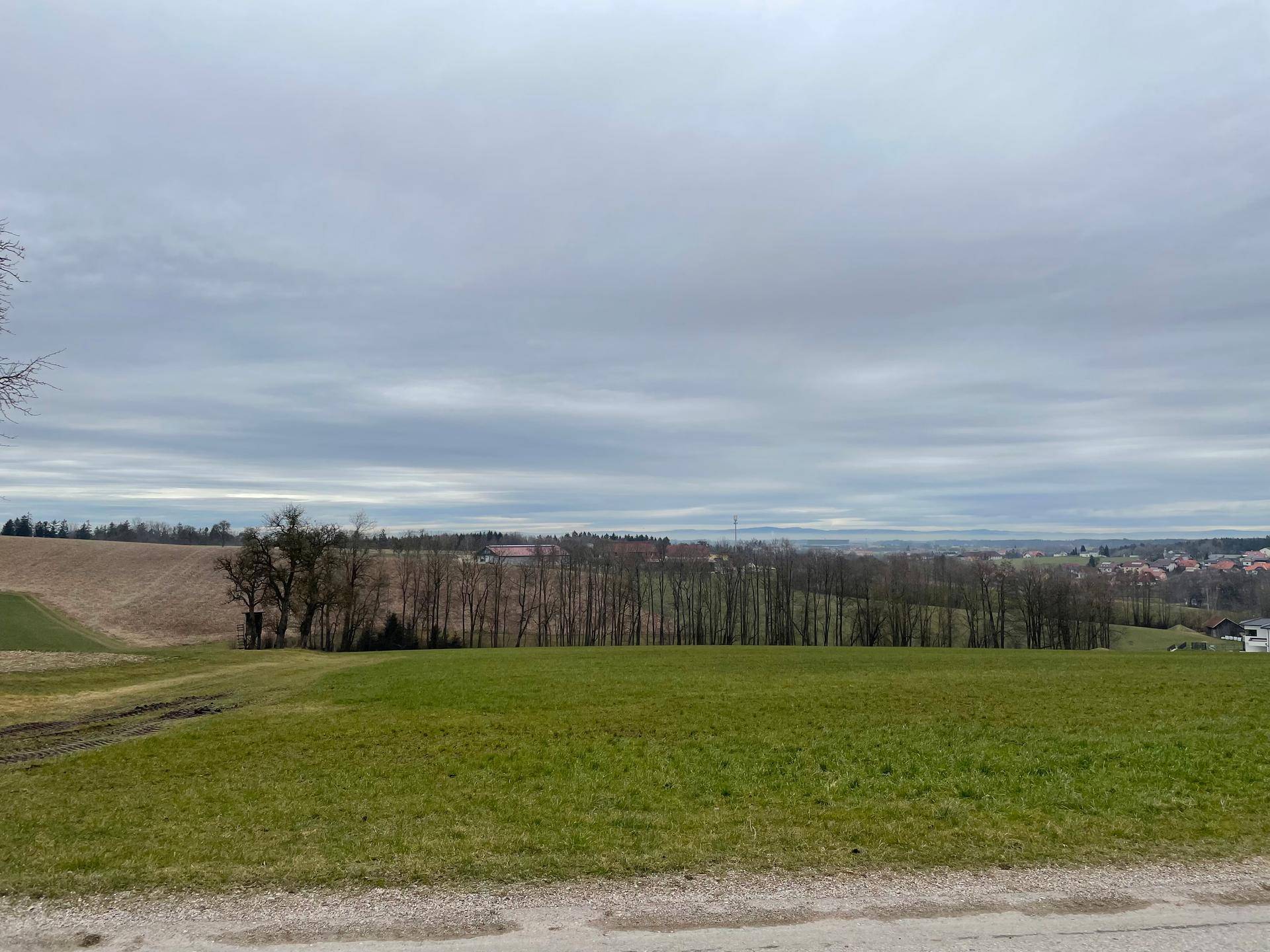 Weitläufige grüne Felder mit Baumreihen und einem Dorf am Horizont unter einem bedeckten Himmel.