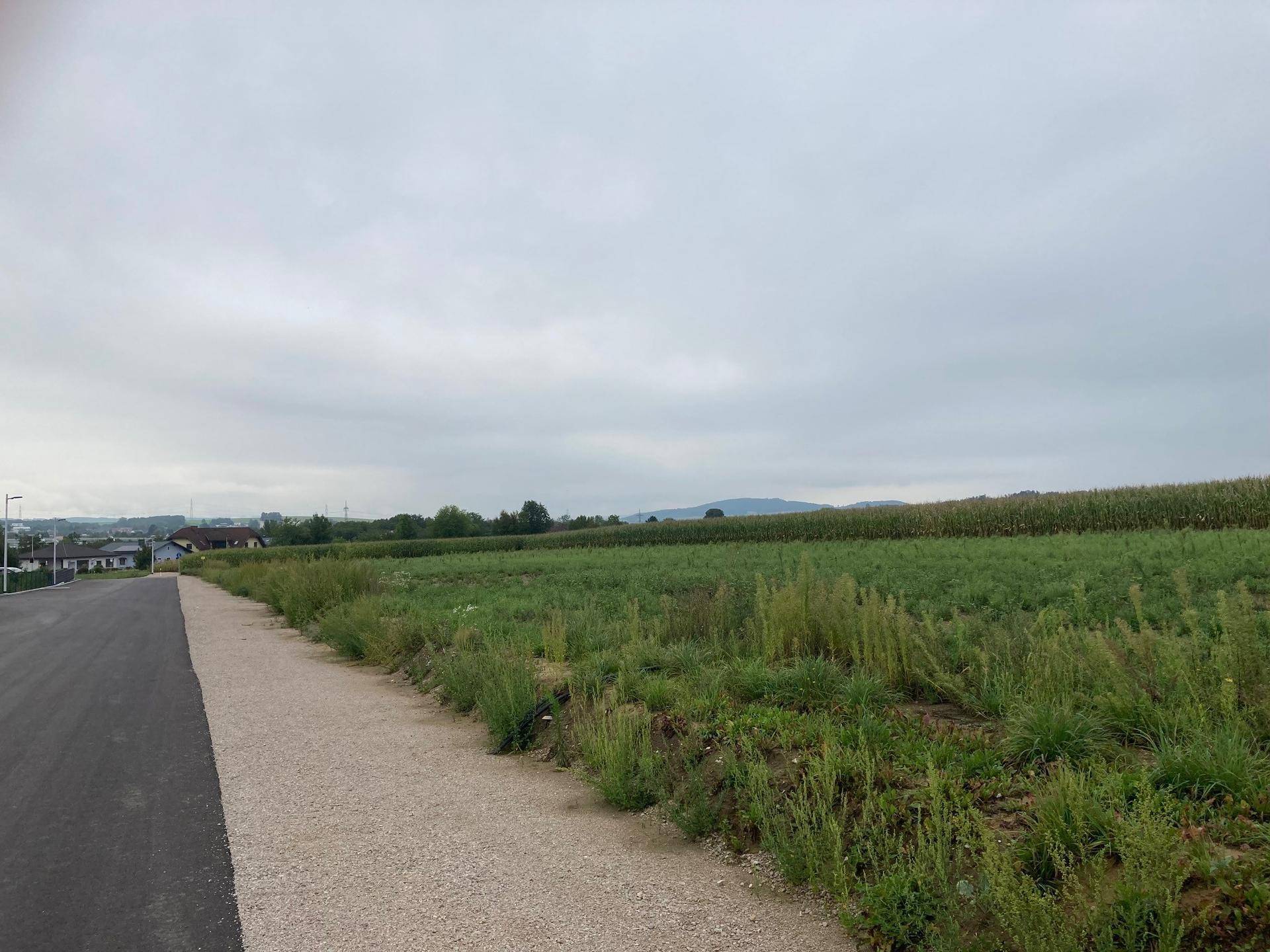 Weitläufige Felder und eine ländliche Straße unter einem bewölkten Himmel, mit Häusern am Horizont.