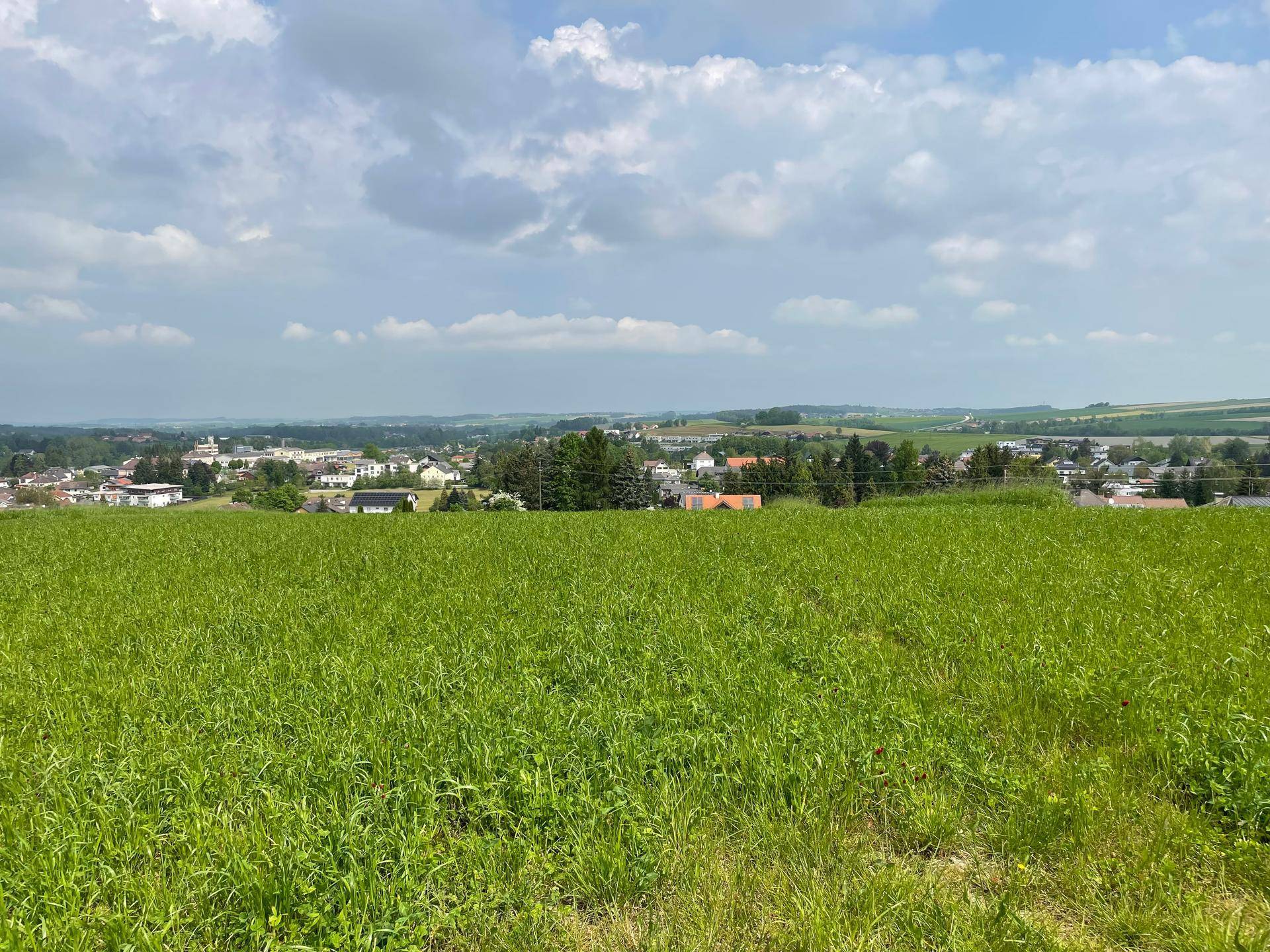 714m² großes Baugrundstück in Eberschwang - Ansicht 2