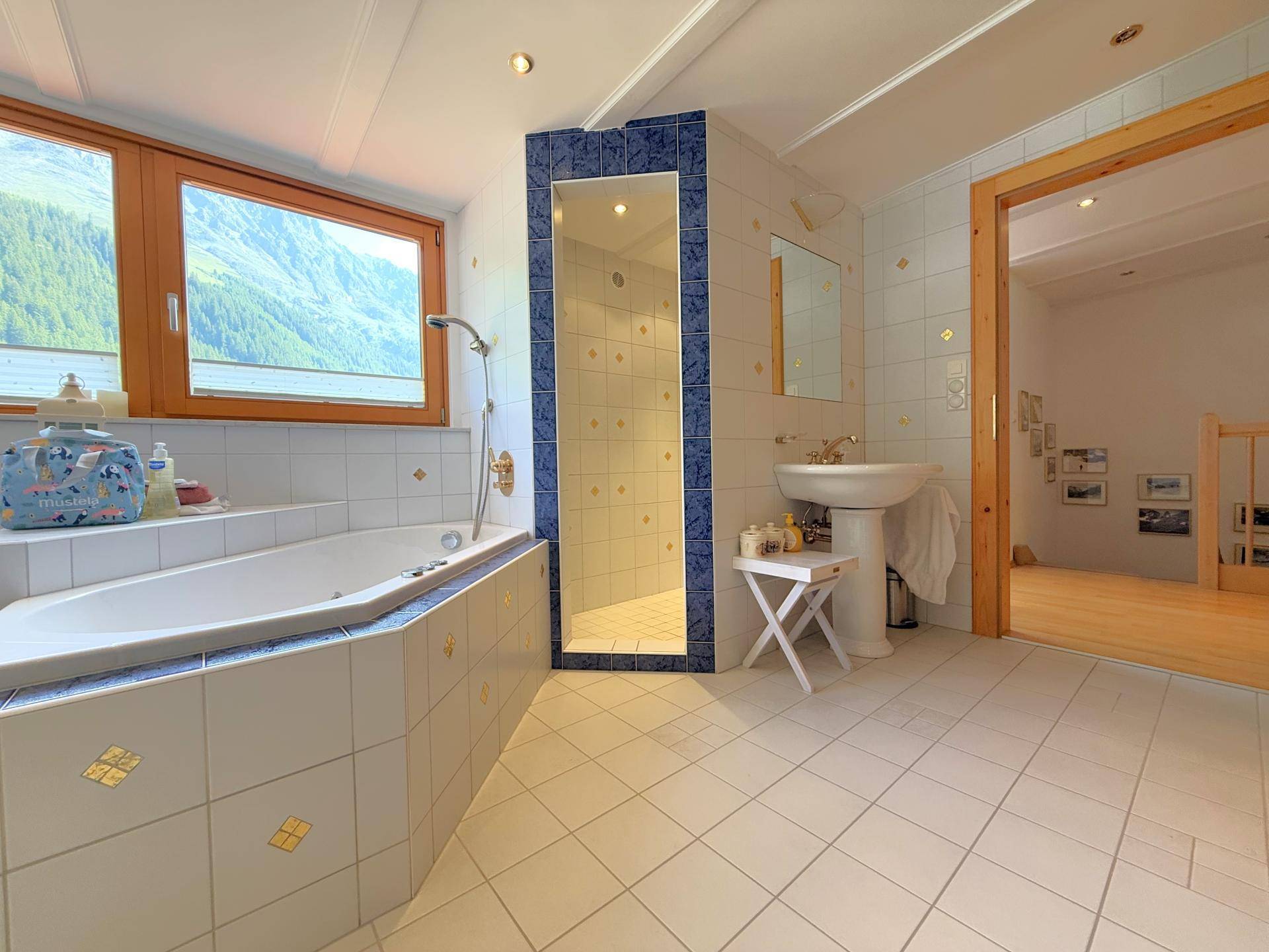 Wellnessbereich / Whirlpool & Dusche