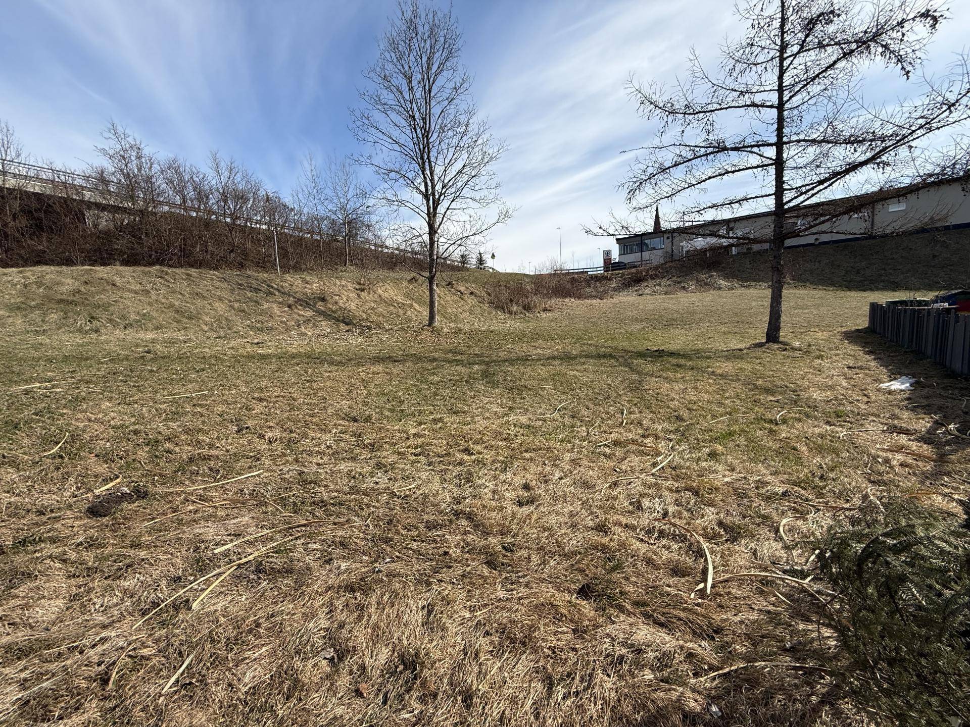 Großes Grundstück mit trockenem Gras und kahlen Bäumen, umgeben von Hügeln unter einem sonnigen Himmel.