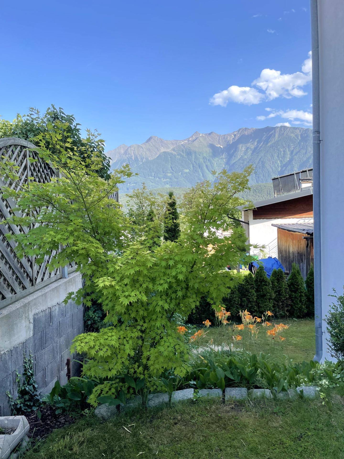 Ausblick