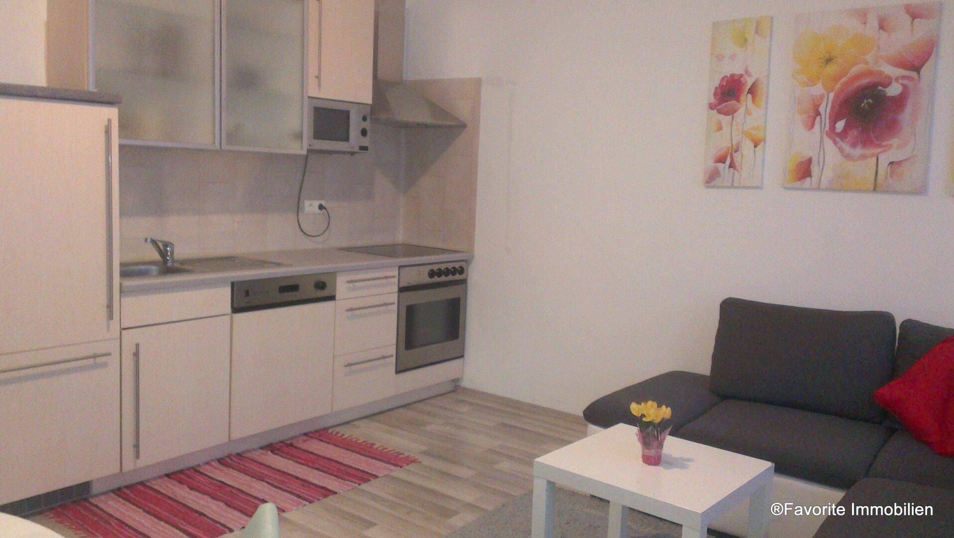 Kompakte Wohnküche mit integrierten Geräten und einem gemütlichen Sofa im Wohnbereich.