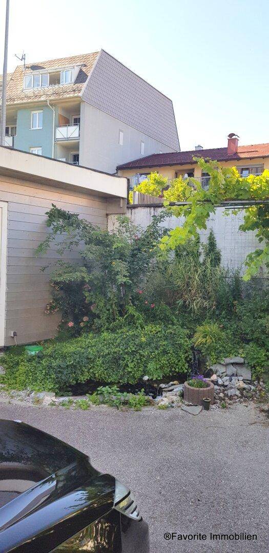Grüner Gartenbereich mit üppiger Vegetation und Bäumen, angrenzend an eine Parkfläche.