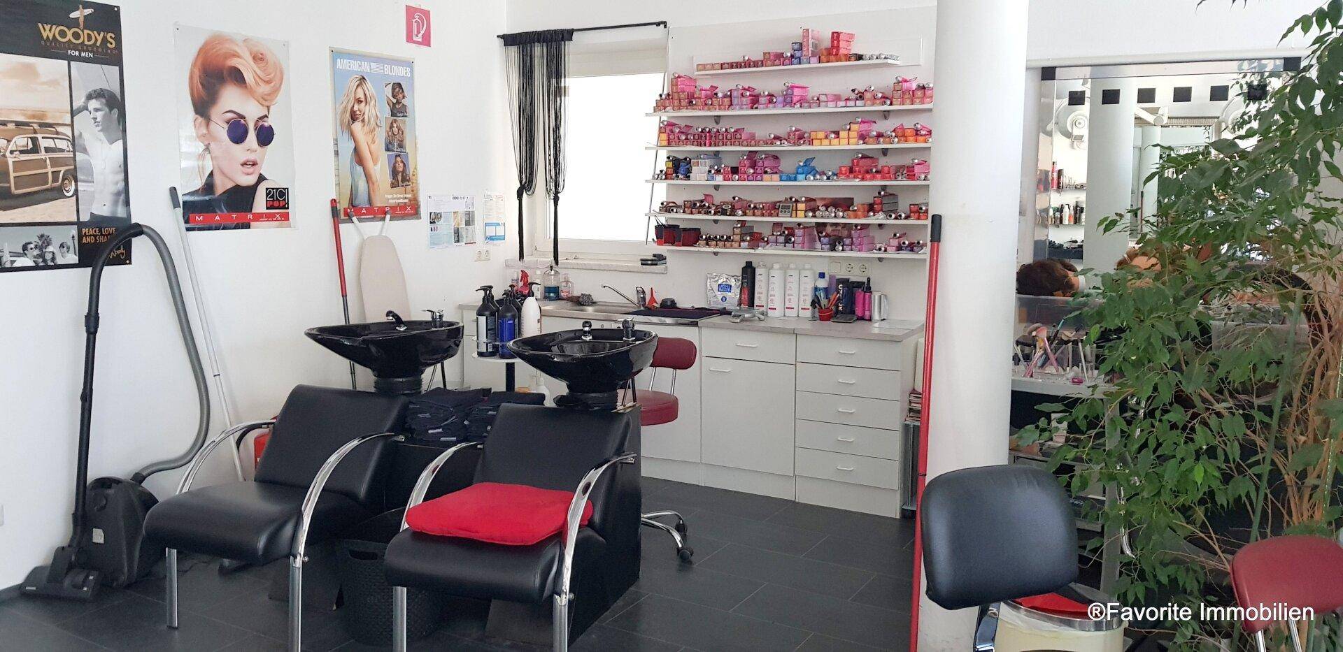 Waschbereich in einem Friseursalon mit zwei Waschbecken, Regalen und Pflanzen.