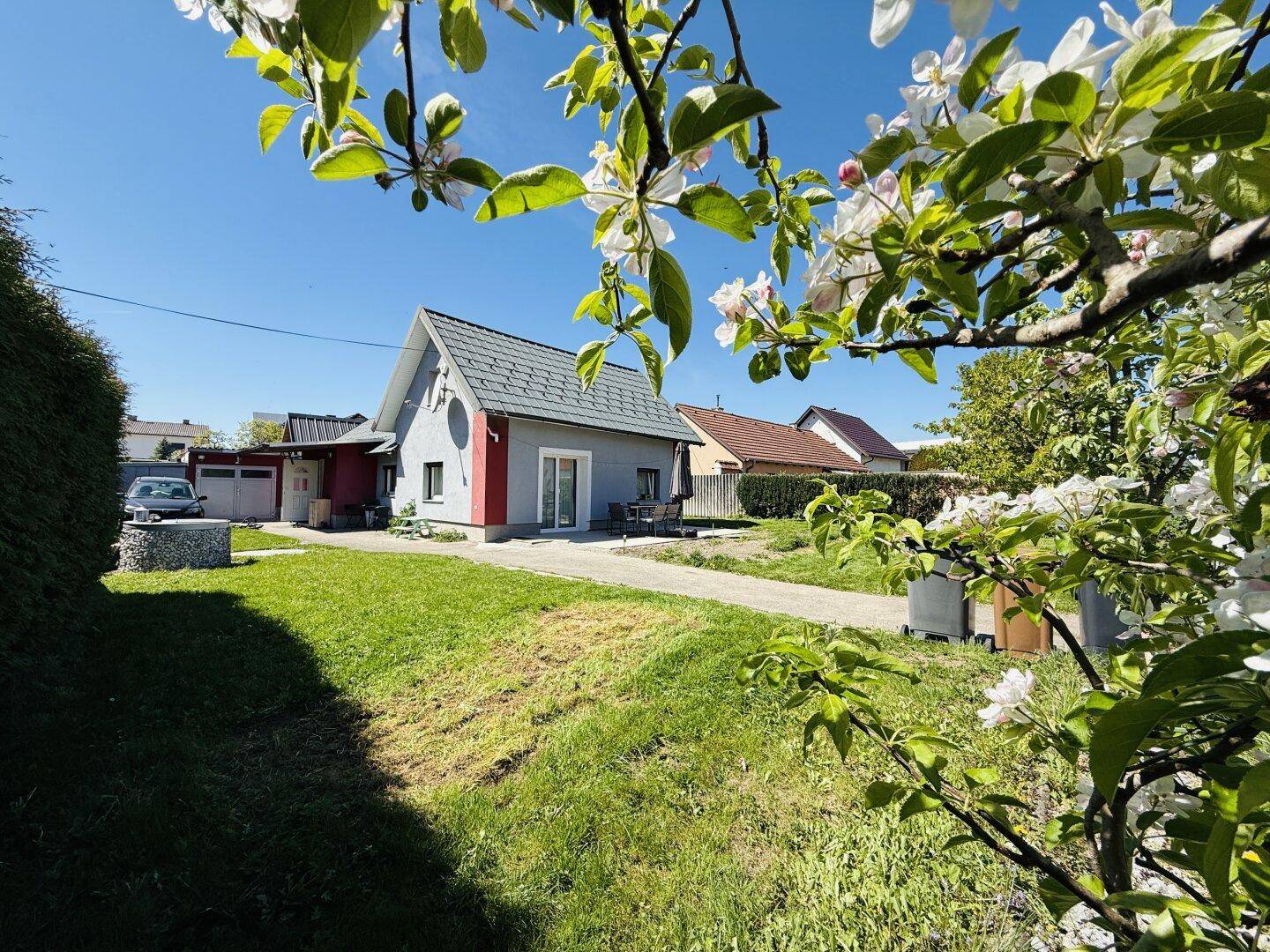 Hausansicht vom Garten aus mit blühenden Bäumen im Vordergrund und viel Grünfläche.