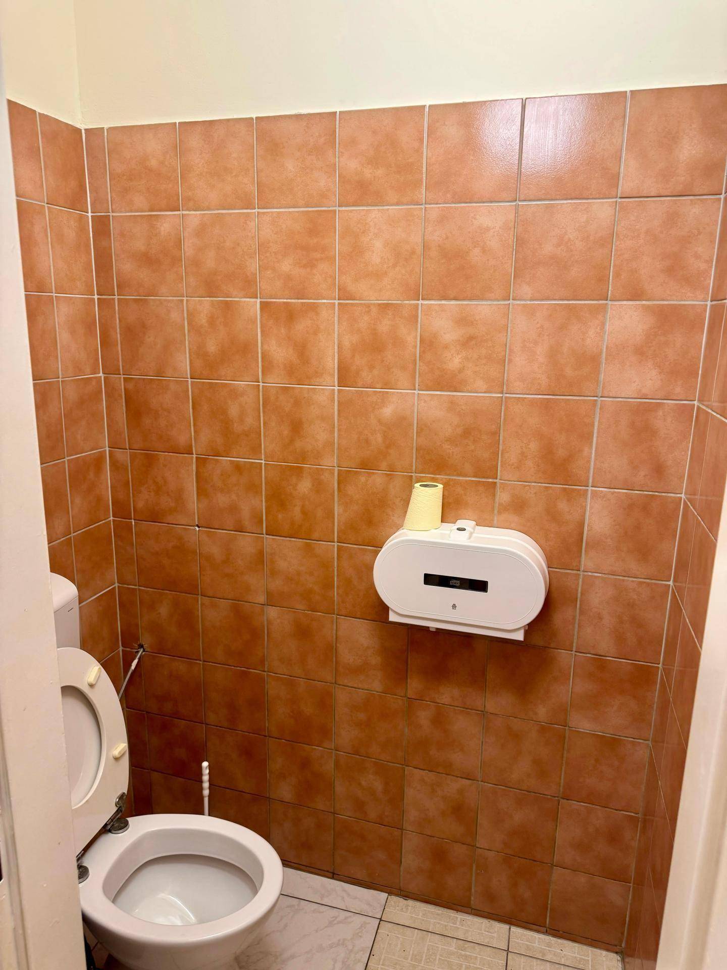 Toilettenbereich mit braunen Wandfliesen, einer Toilette und einem Toilettenpapierspender.