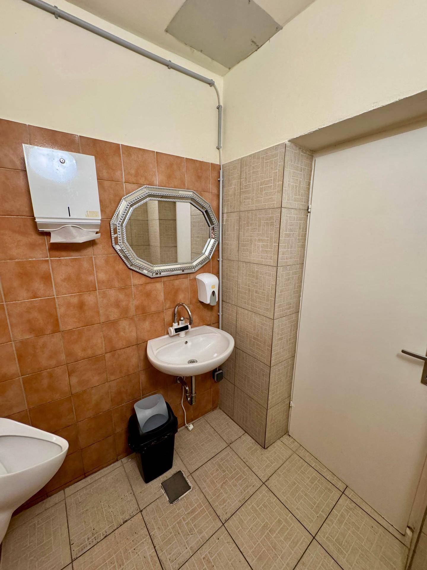 Badezimmer mit braunen Fliesen, einem Waschbecken, einem Spiegel und einer Toilette.