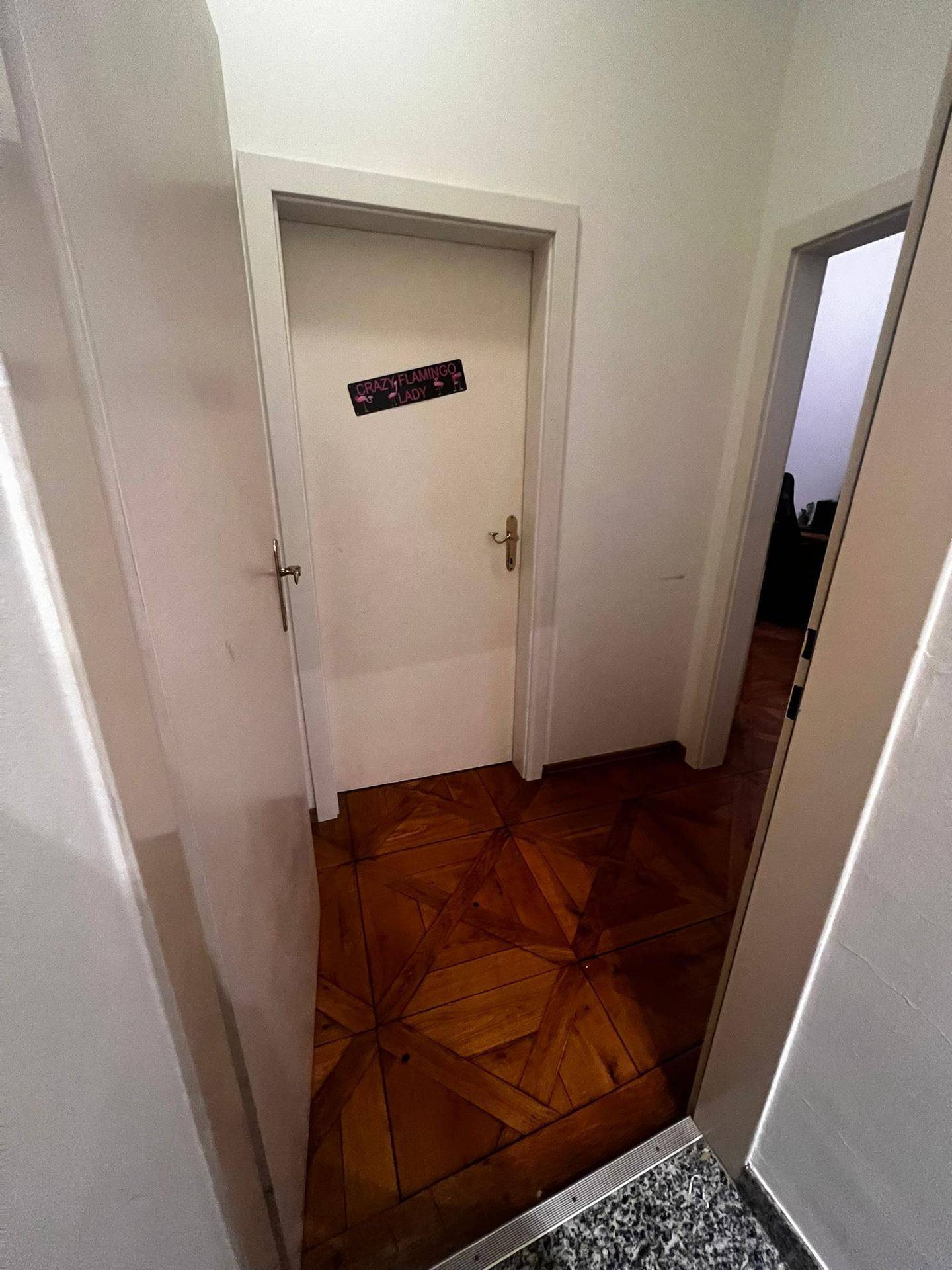 Flur mit dunklem Parkettboden und mehreren Türen, die zu anderen Räumen führen.