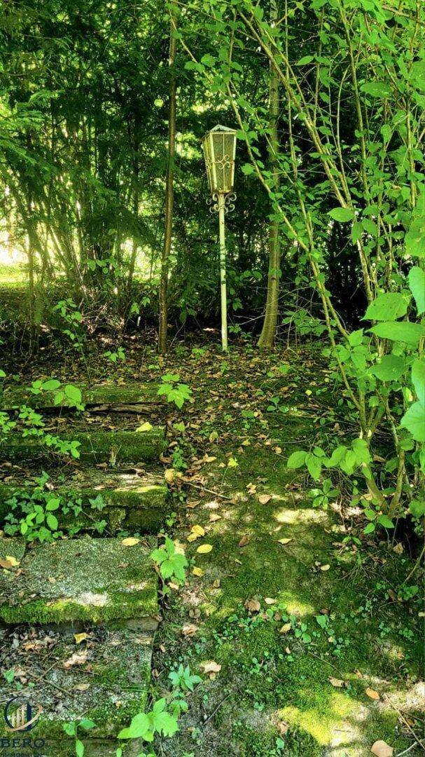 Waldweg um den Garten herum angelegt