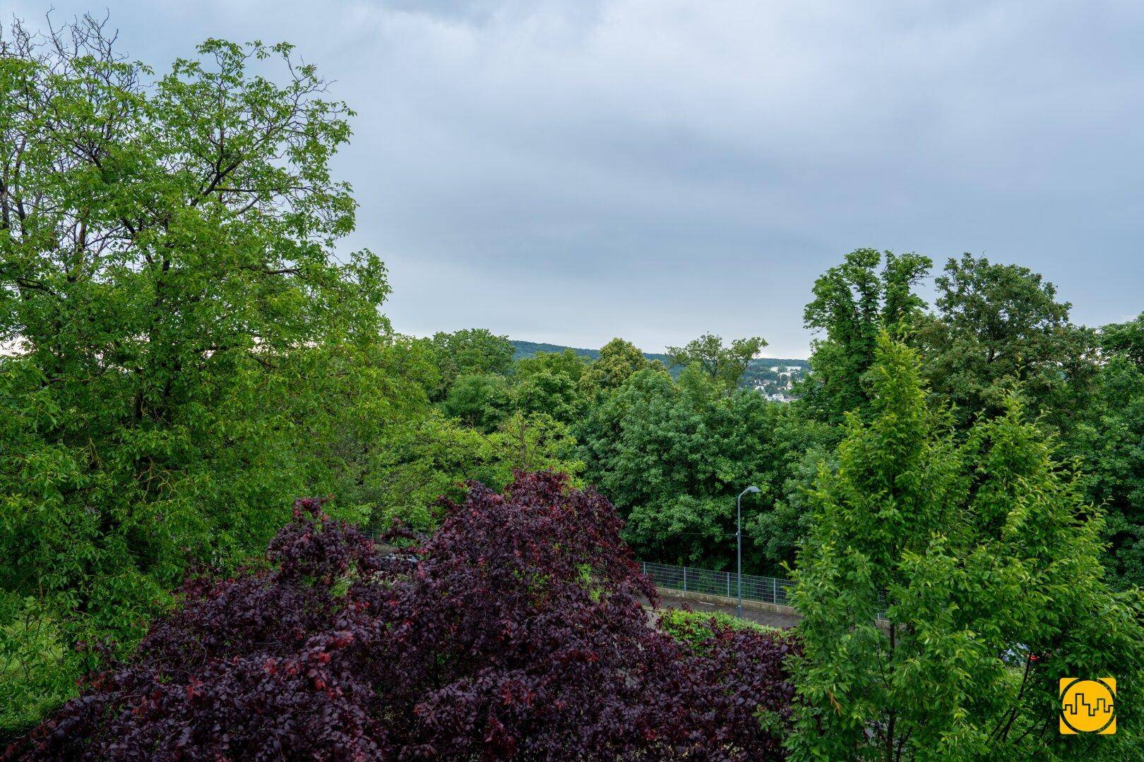 Weitläufiger Blick über grüne Baumwipfel und bewaldete Landschaft unter bewölktem Himmel.