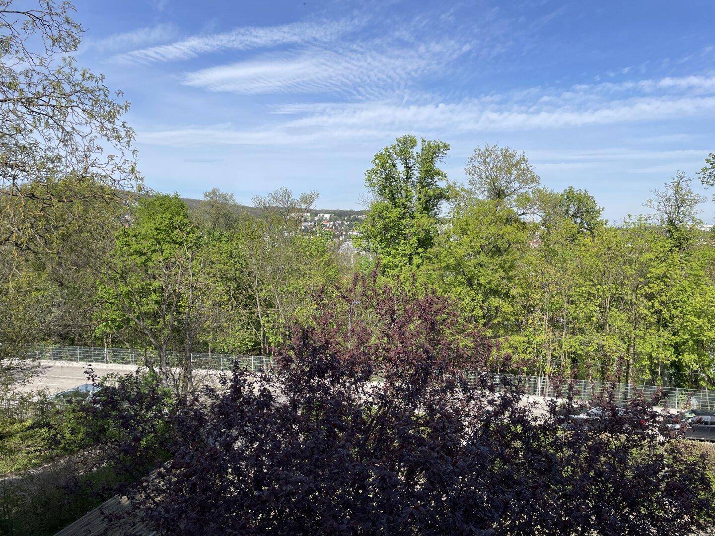 Weitläufiger Blick ins Grüne mit Bäumen und bewaldeten Hügeln unter blauem Himmel.