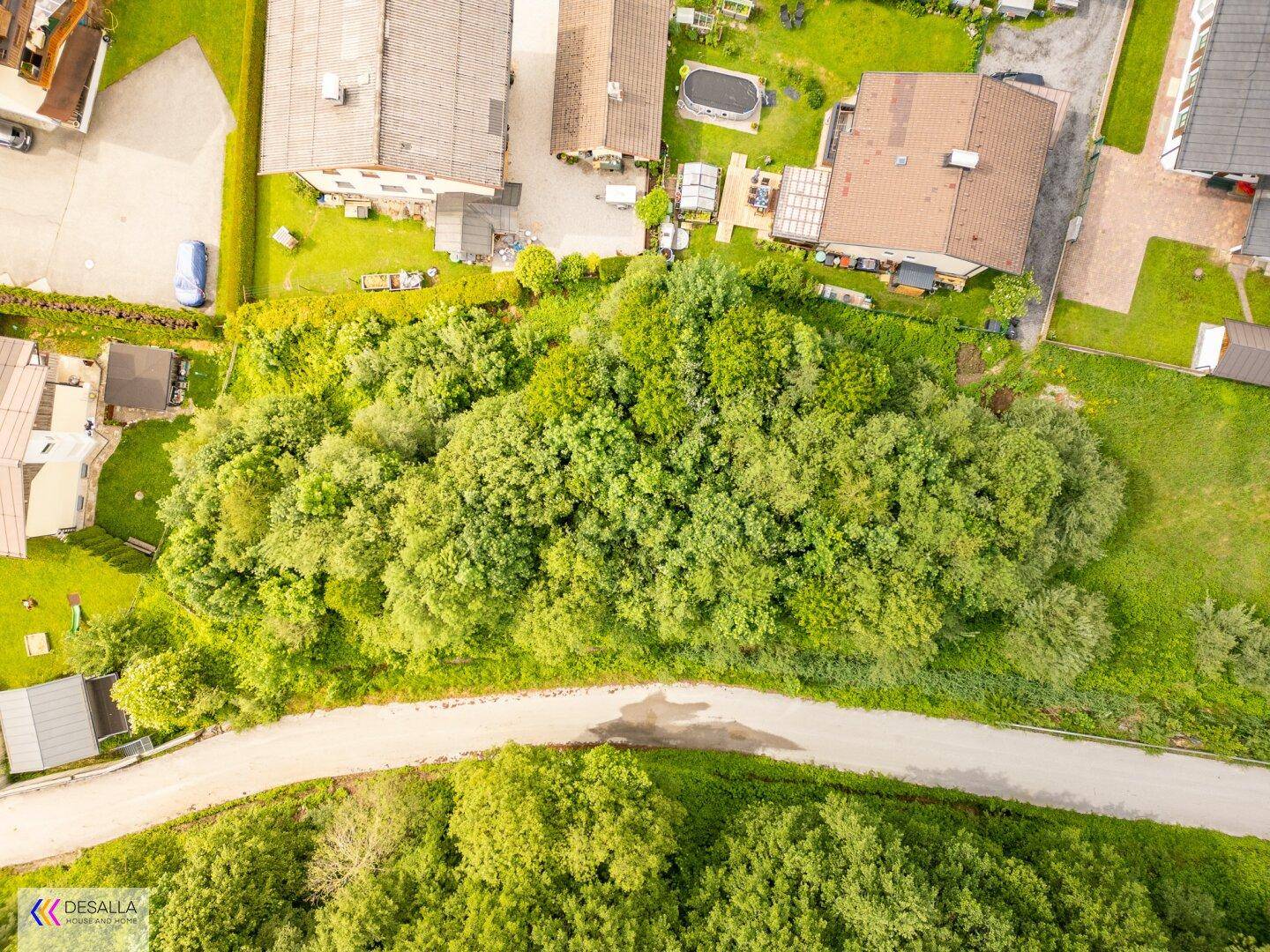 Draufsicht auf ein dicht bewaldetes Grundstück neben einer Straße, umgeben von weiteren Häusern.