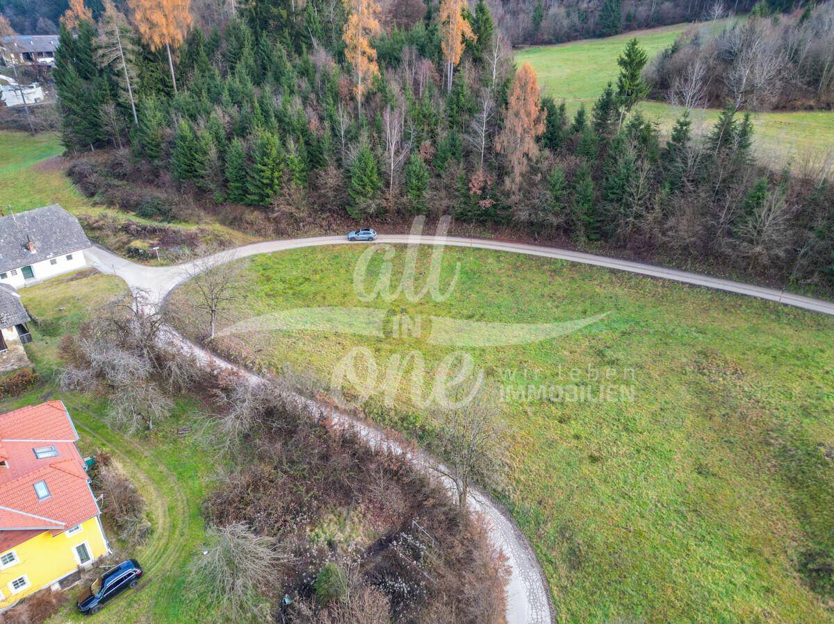 Nahaufnahme einer grünen Wiese mit einem geschwungenen Feldweg, umgeben von Bäumen und Häusern.