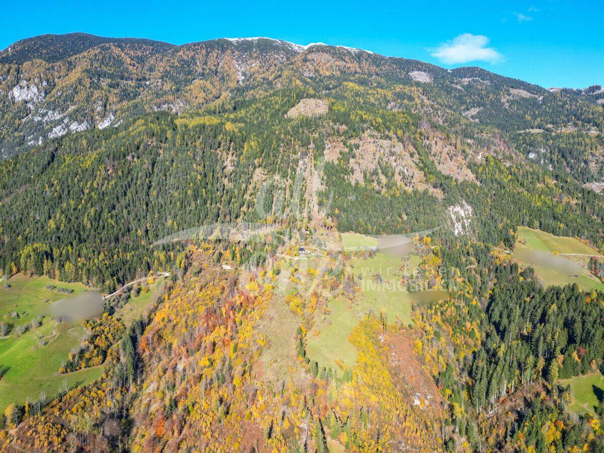 Weitläufige Luftaufnahme der Berglandschaft mit Wäldern und vereinzelten Gebäuden.