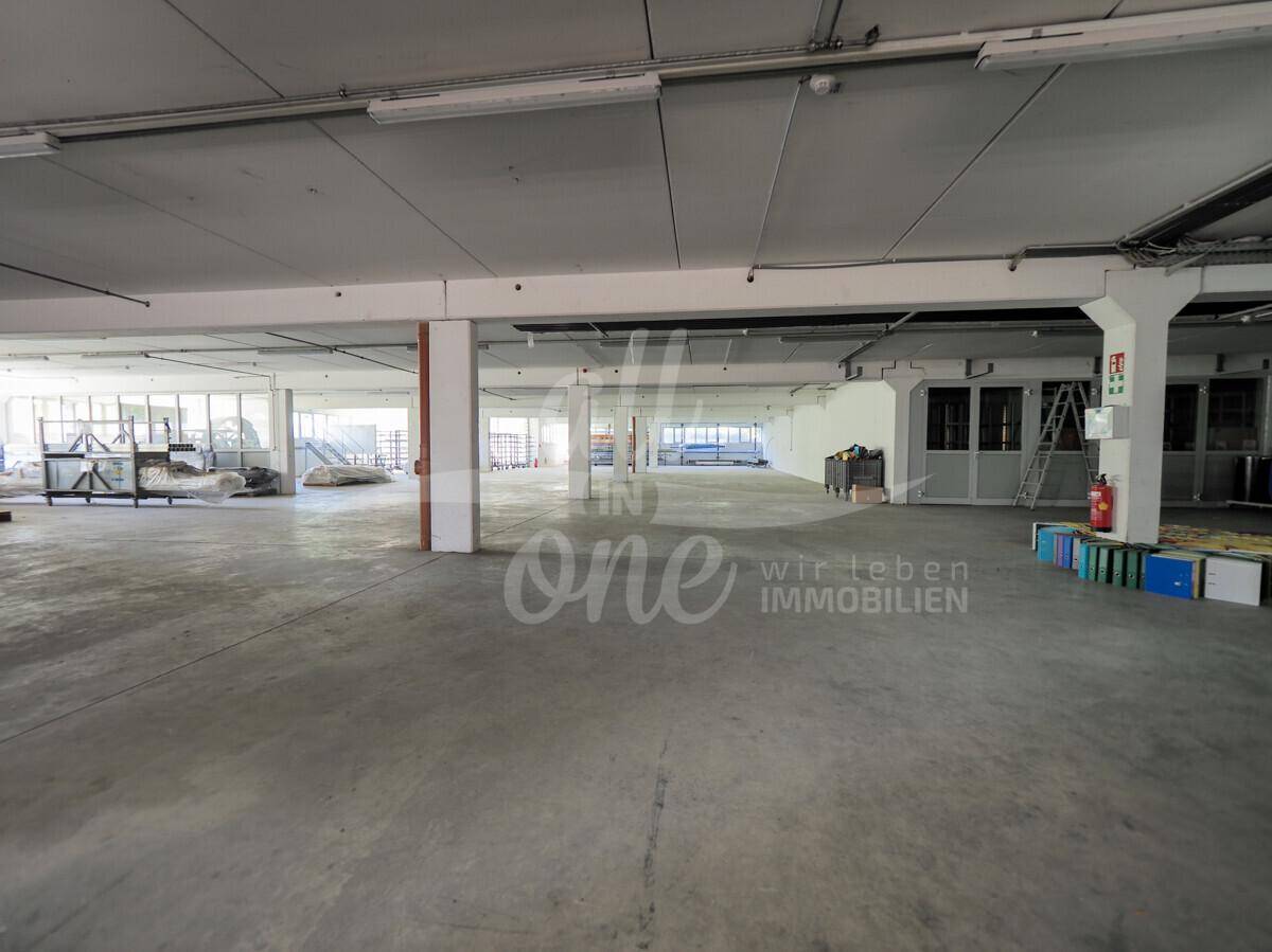Untergeschoss oder Tiefgarage mit Betonboden, Säulen und natürlichem Lichteinfall von den Seiten.